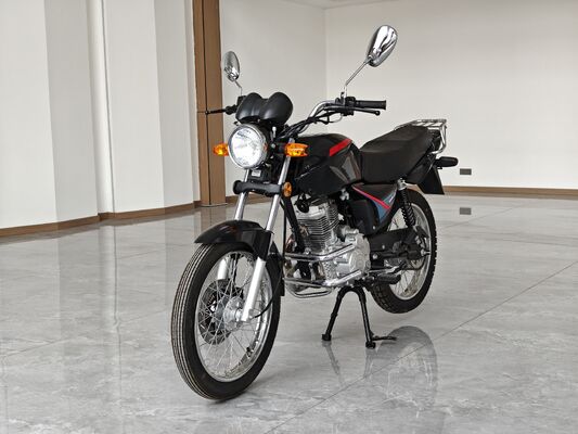 Motorcycle Supplier OEM Logo 200CC Chopper Motorcycle With Balance Shaft Engine Electroplating Muffler