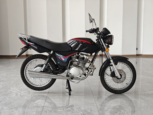 Motorcycle Supplier OEM Logo 200CC Chopper Motorcycle With Balance Shaft Engine Electroplating Muffler