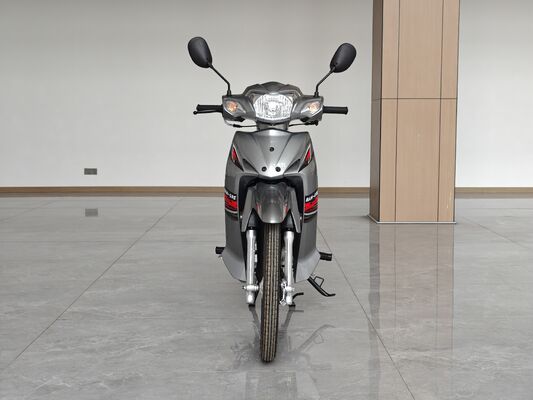 110CC Lightweight CUB Motorcycle 80Km/h with Youli Keihin Carburetor