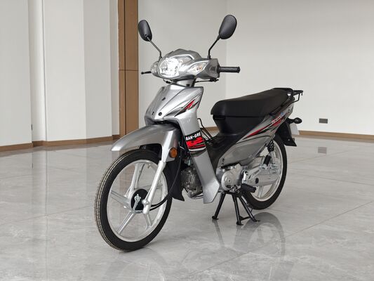 110CC Lightweight CUB Motorcycle 80Km/h with Youli Keihin Carburetor