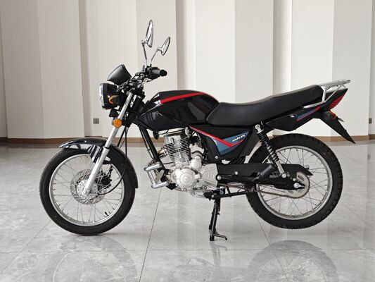 OEM Logo 200CC Chopper Motorcycle With Balance Shaft Engine Electroplating Muffler