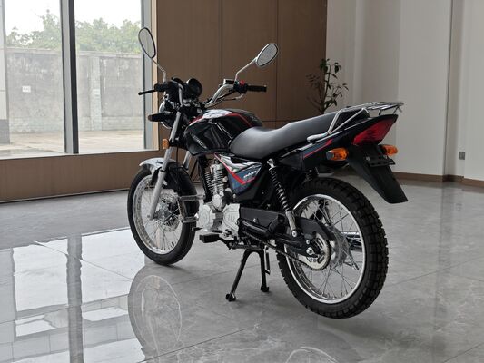 OEM Logo 200CC Chopper Motorcycle With Balance Shaft Engine Electroplating Muffler