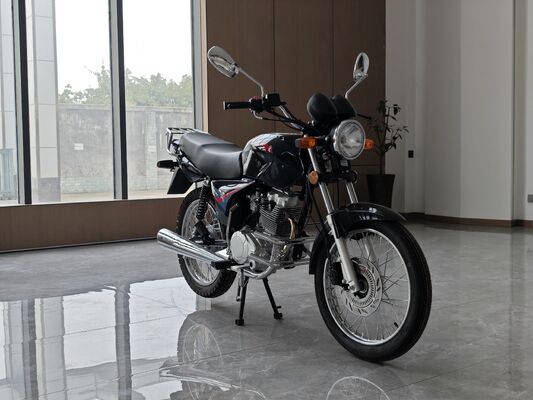 OEM Logo 200CC Chopper Motorcycle With Balance Shaft Engine Electroplating Muffler