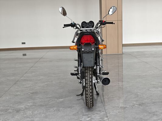 OEM Logo 200CC Chopper Motorcycle With Balance Shaft Engine Electroplating Muffler