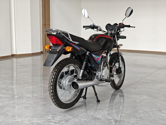 OEM Logo 200CC Chopper Motorcycle With Balance Shaft Engine Electroplating Muffler